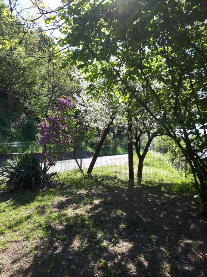 Villa Dedin Raj Golubac Exterior foto